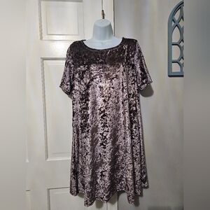 POL Brown Midi Dress Short Sleeve Crew Neck Velvet